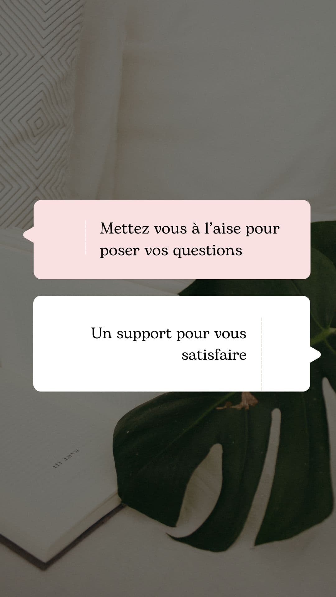 support ecolizo